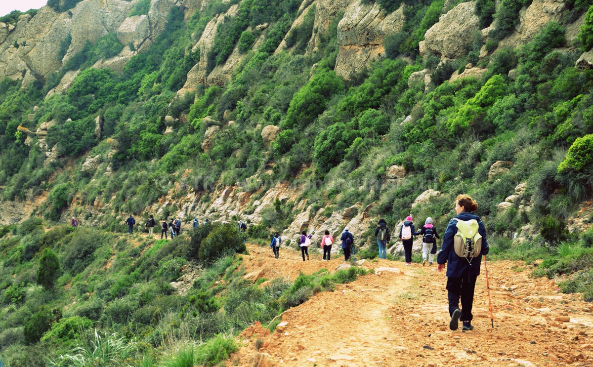 Randonnée en plein nature