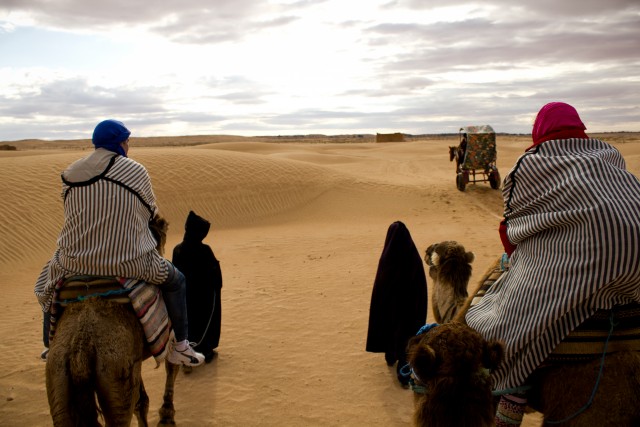 TUN08 : Sahara & Oasis Tunisie