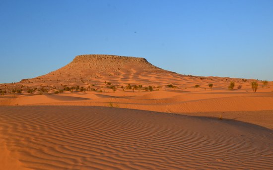 TUN11 : Sahara & Tembaine