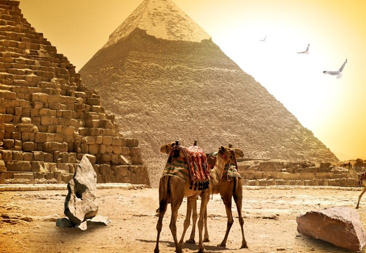 Caire & Asouan & Hurghada & Luxor