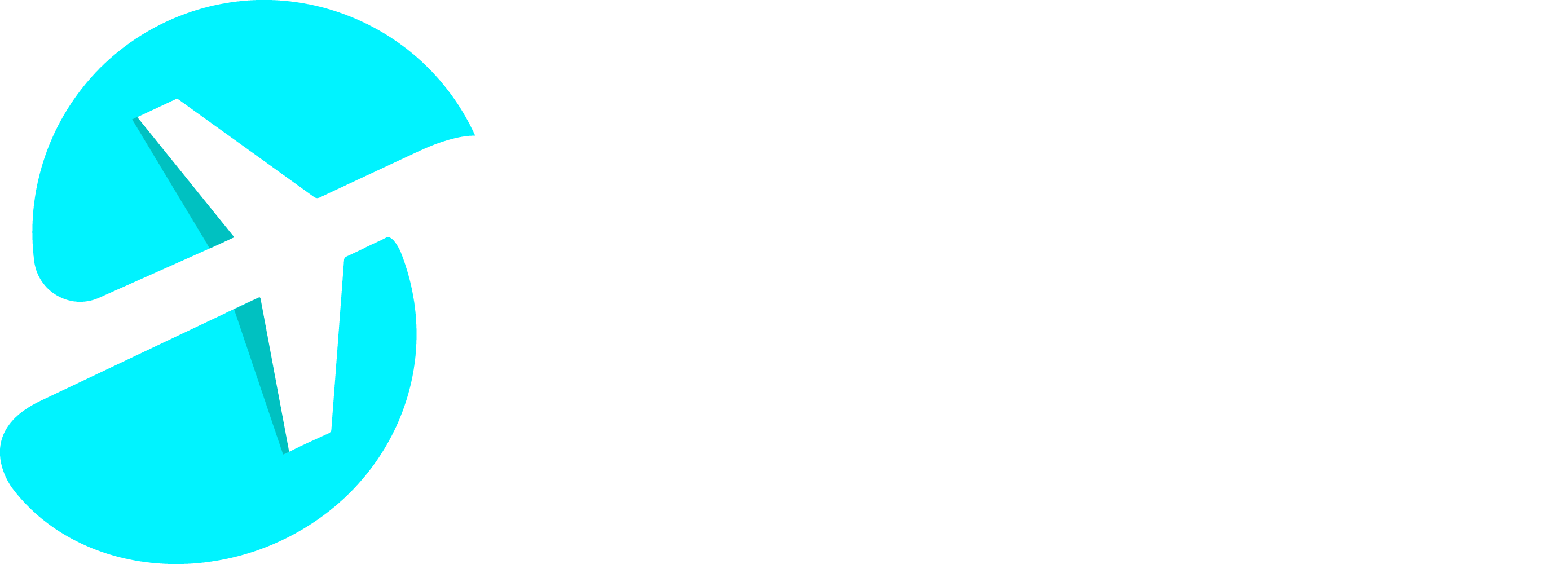 Tunisian Sky Travel